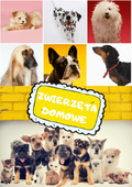Zwierzęta domowe