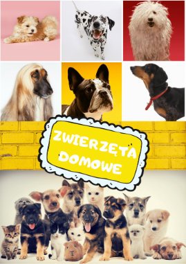 Zwierzęta domowe