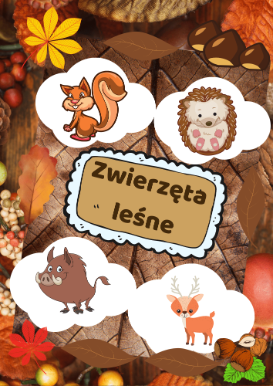 Plansze - Zwierzęta leśne