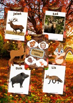 Plansze - Zwierzęta leśne