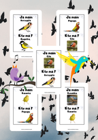 Ja Mam, Kto Ma? – Ptaki