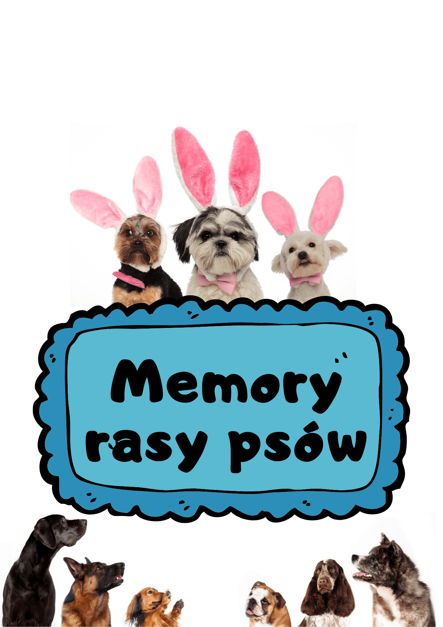 Memory - rasy psów