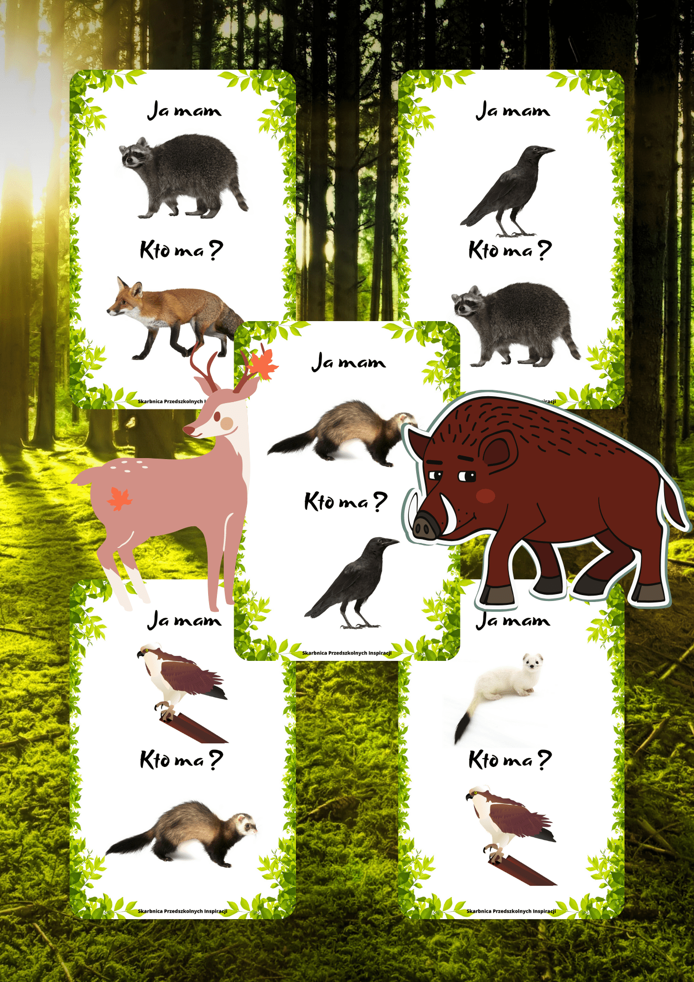 Ja Mam, Kto Ma? – Zwierzęta leśne
