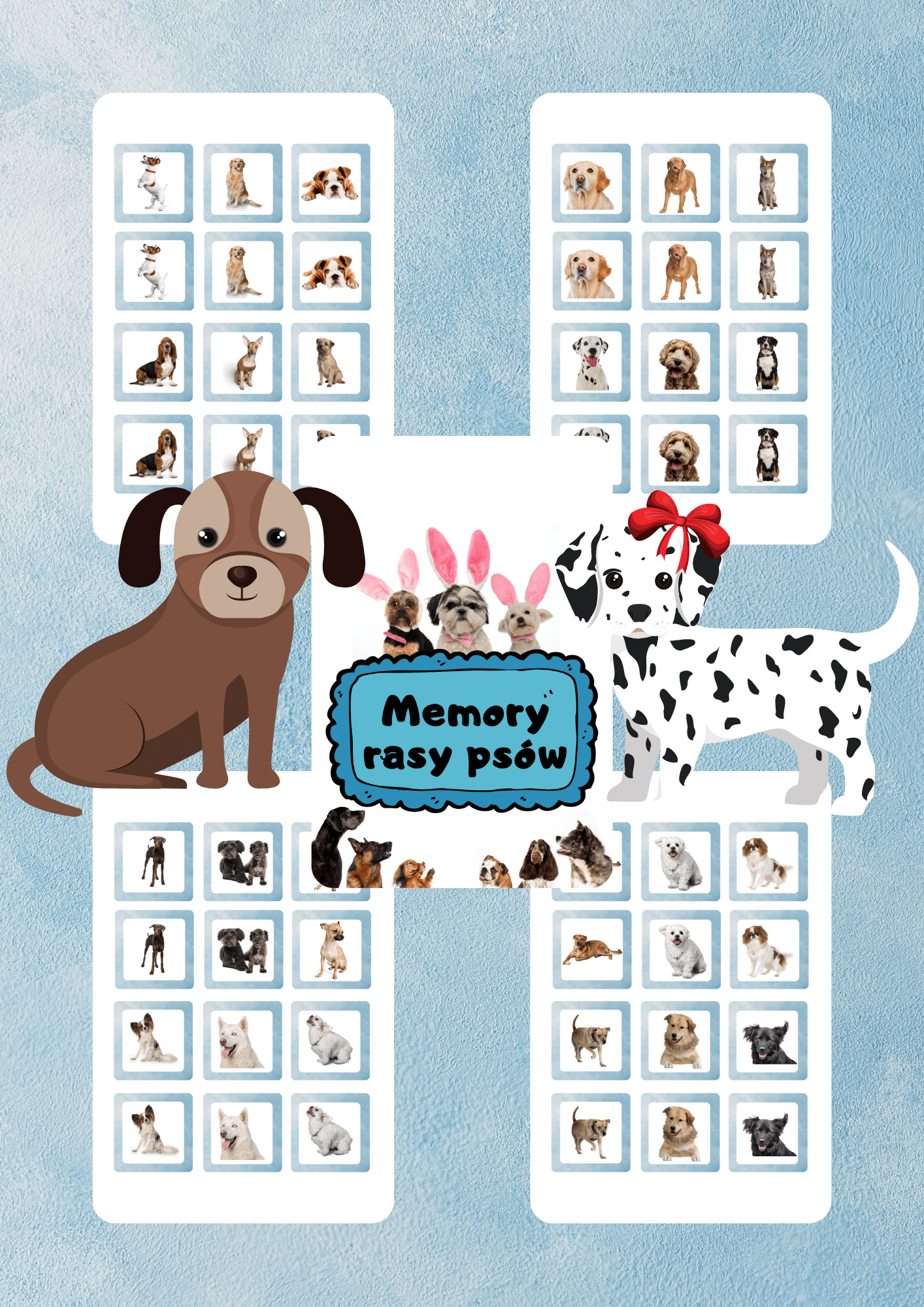 Memory - rasy psów