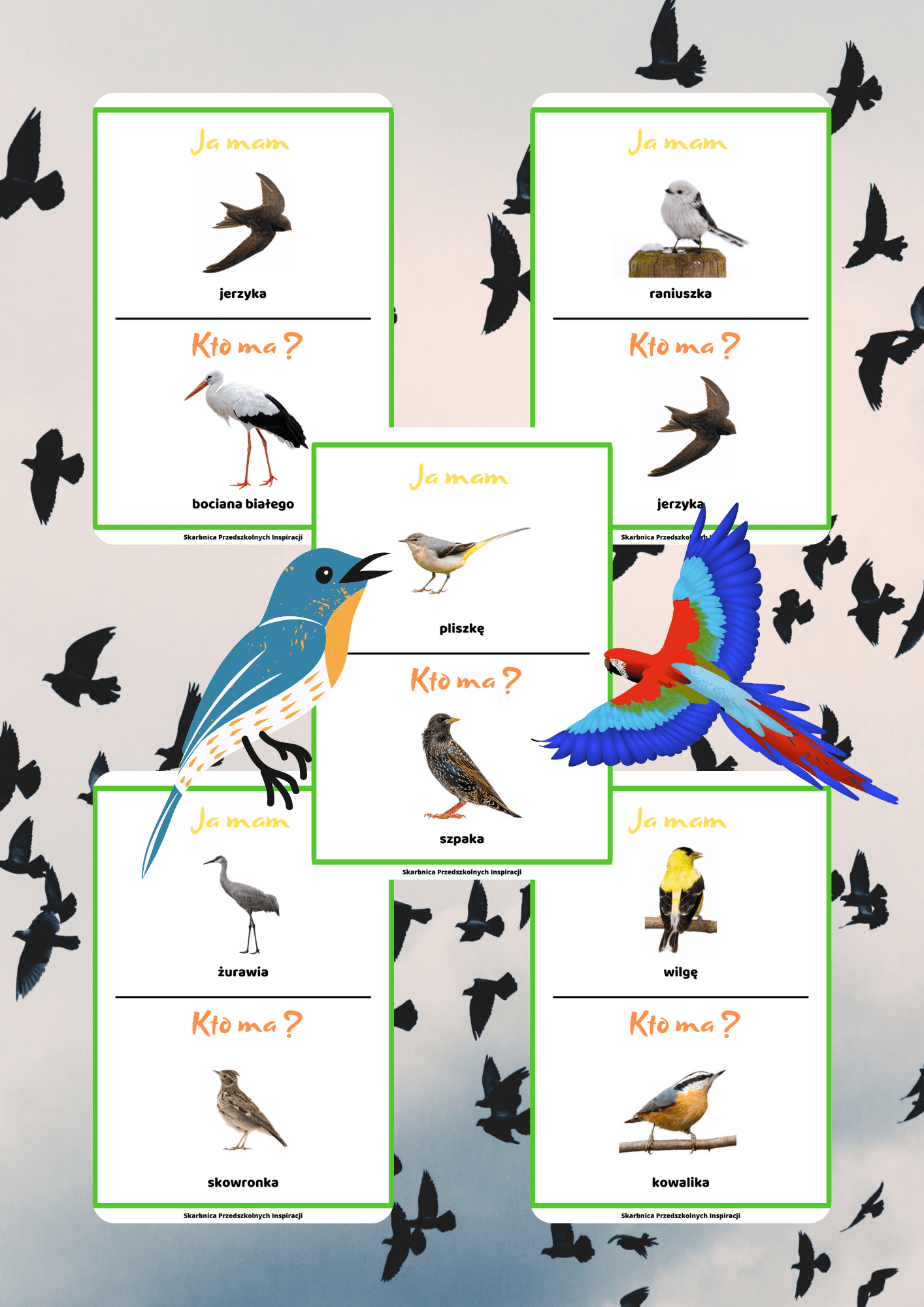 Ja Mam, Kto Ma? – Ptaki przylatujące na wiosnę