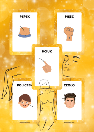 Plansze - Części ciała - edu - skarbnica.pl