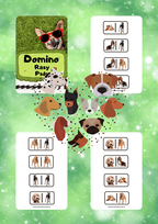 Domino - Rasy psów - edu - skarbnica.pl