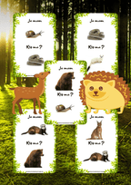 Ja Mam, Kto Ma? – Zwierzęta leśne