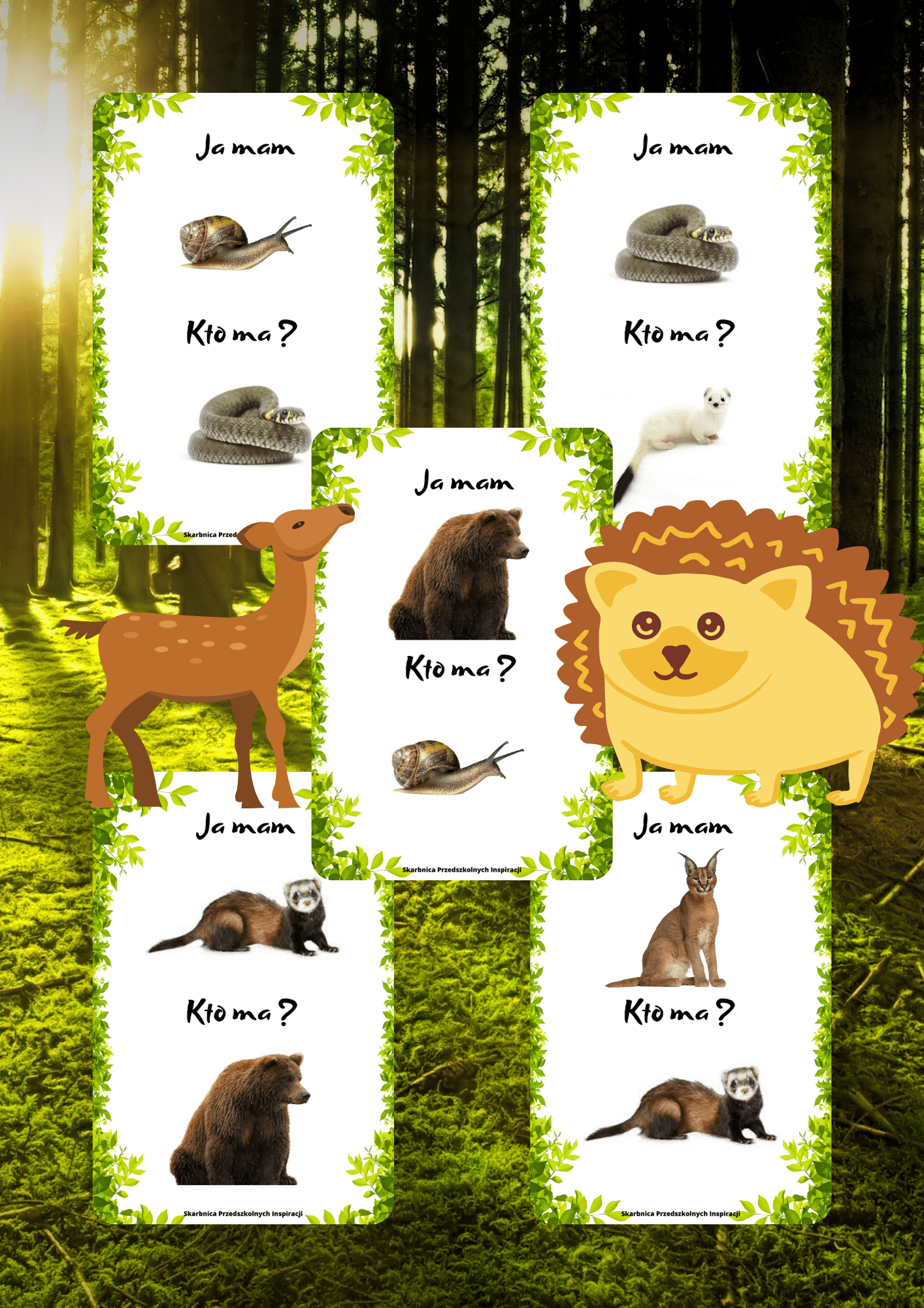 Ja Mam, Kto Ma? – Zwierzęta leśne