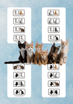 Domino - Rasy kotów - edu - skarbnica.pl