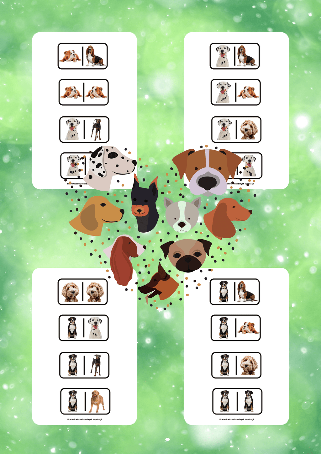 Domino - Rasy psów - edu - skarbnica.pl