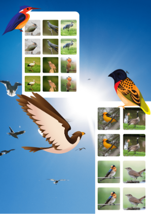 Memory - Ptaki przylatujące na wiosnę