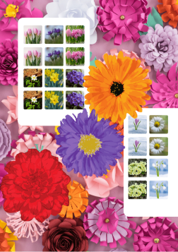 Memory - Wiosenne Kwiaty