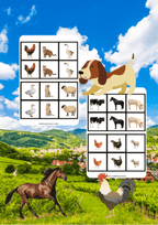 Memory - Zwierzęta wiejskie - edu - skarbnica.pl