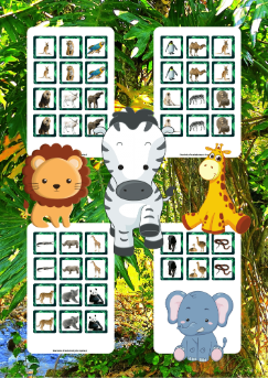 Memory - Zwierzęta egzotyczne