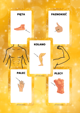 Plansze - Części ciała - edu - skarbnica.pl
