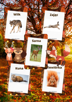 Plansze - Zwierzęta leśne