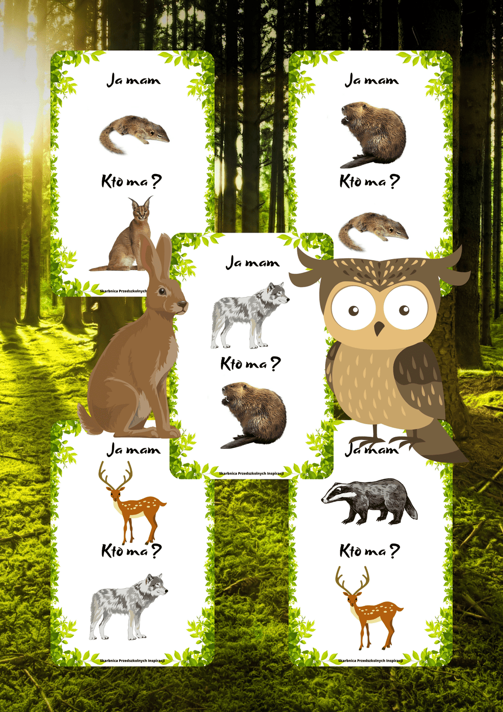 Ja Mam, Kto Ma? – Zwierzęta leśne