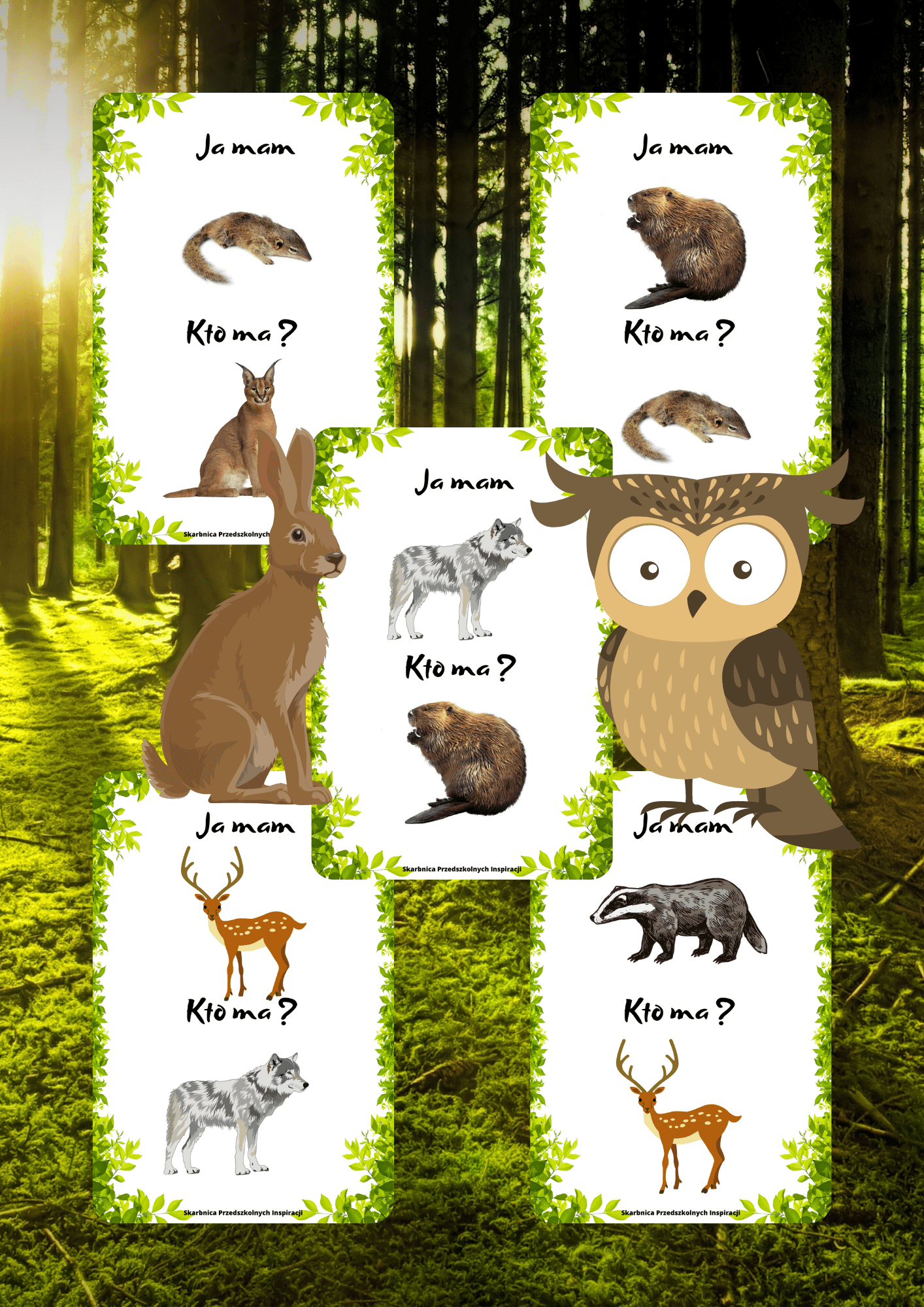 Ja Mam, Kto Ma? – Zwierzęta leśne