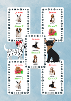 Ja Mam, Kto Ma? – Rasy psów - edu - skarbnica.pl