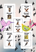 Ja Mam, Kto Ma? – Ptaki