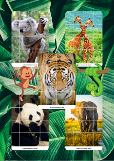 Zwierzęta Egzotyczne