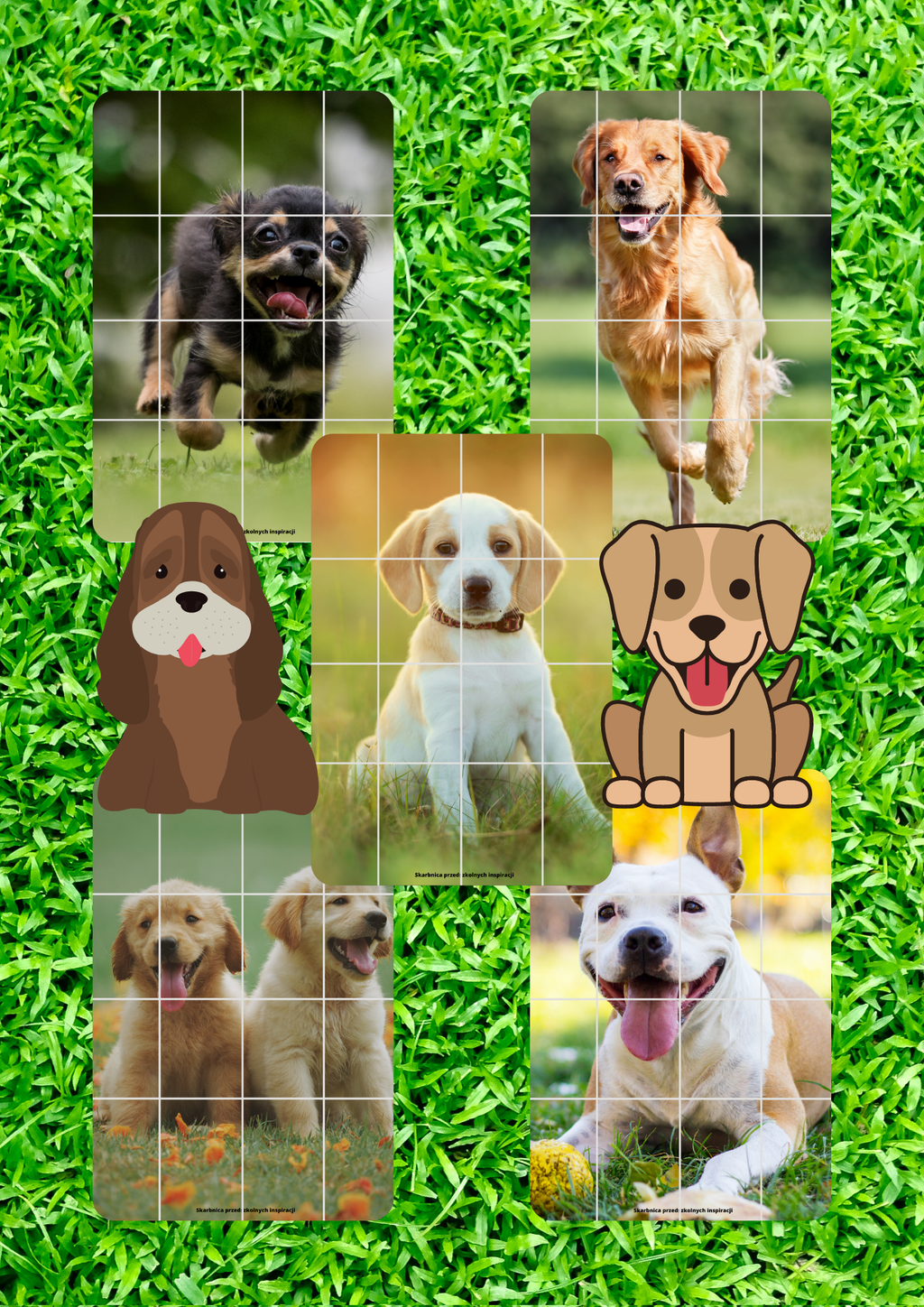 Dzień Psa - edu - skarbnica.pl