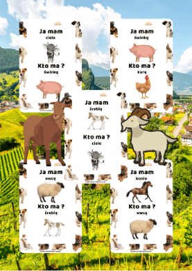 Ja Mam, Kto Ma? – Wiejskie Zwierzęta - edu - skarbnica.pl