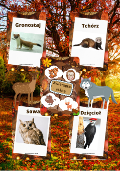 Plansze - Zwierzęta leśne
