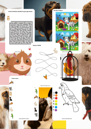 Zwierzęta domowe - edu - skarbnica.pl