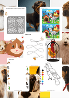 Zwierzęta domowe - edu - skarbnica.pl