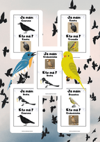 Ja Mam, Kto Ma? – Ptaki