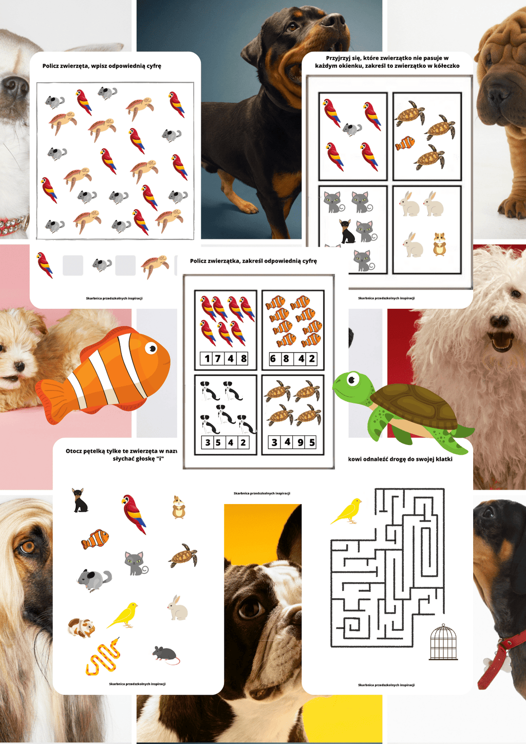 Zwierzęta domowe - edu - skarbnica.pl