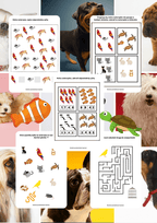 Zwierzęta domowe - edu - skarbnica.pl