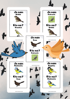 Ja Mam, Kto Ma? – Ptaki