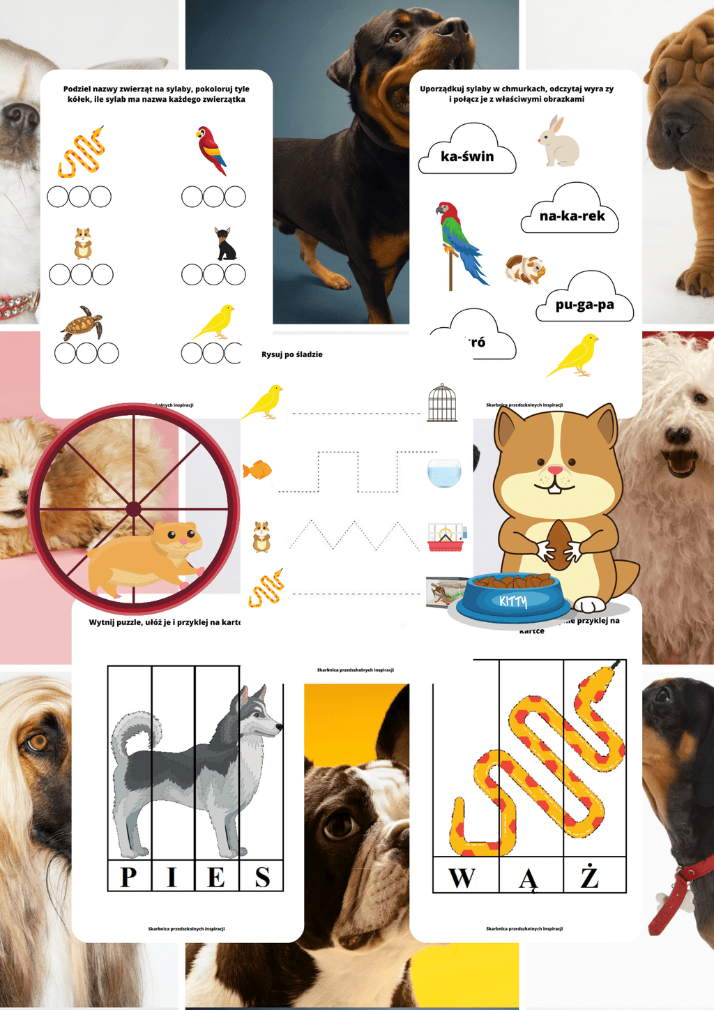 Zwierzęta domowe - edu - skarbnica.pl