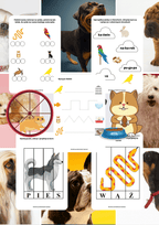 Zwierzęta domowe - edu - skarbnica.pl