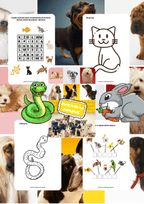 Zwierzęta domowe - edu - skarbnica.pl