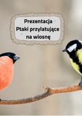 Ptaki przylatujące na wiosnę - Prezentacja