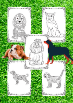 Dzień Psa - edu - skarbnica.pl