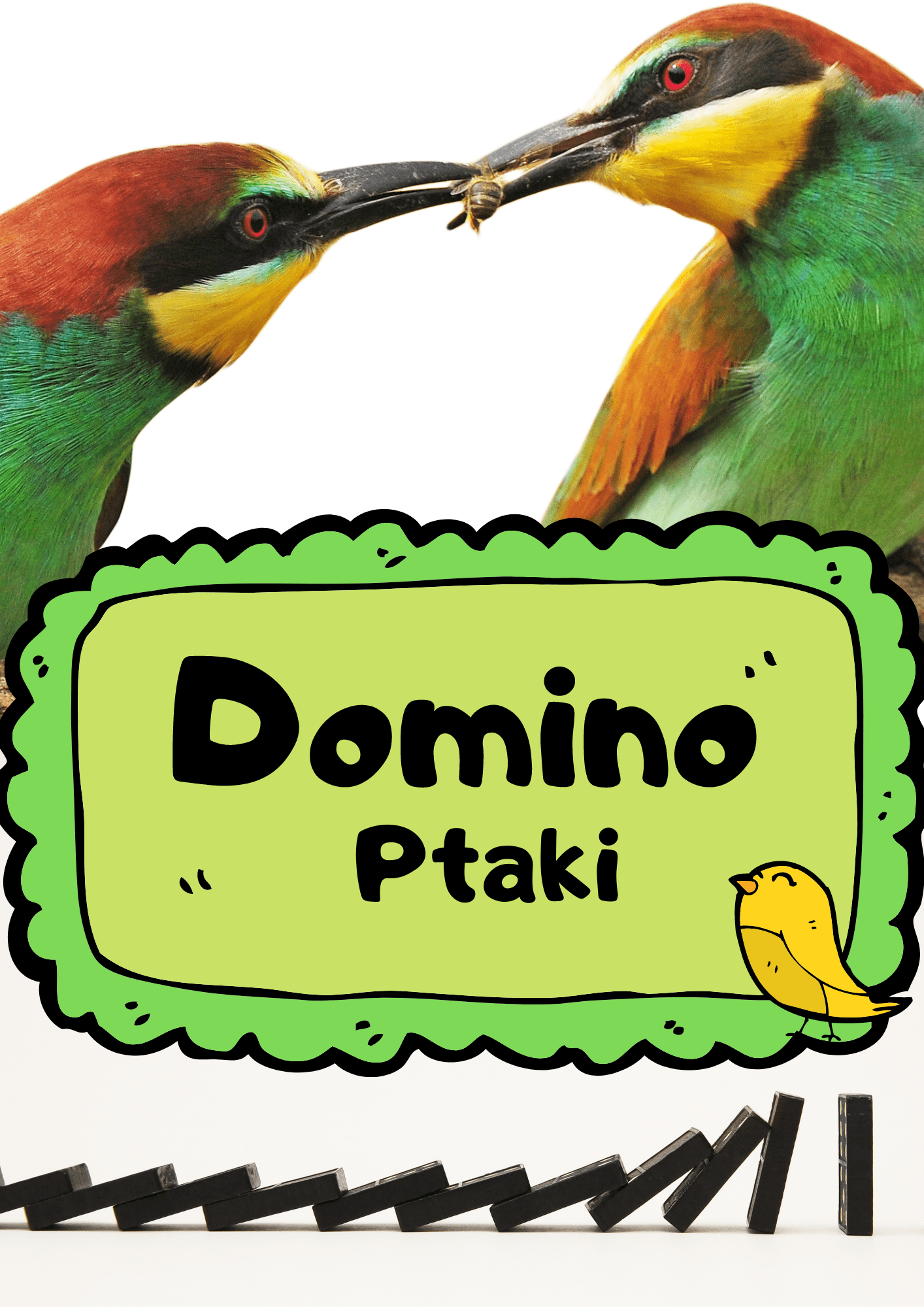Domino - Ptaki gra PDF dla dzieci - edu - skarbnica.pl