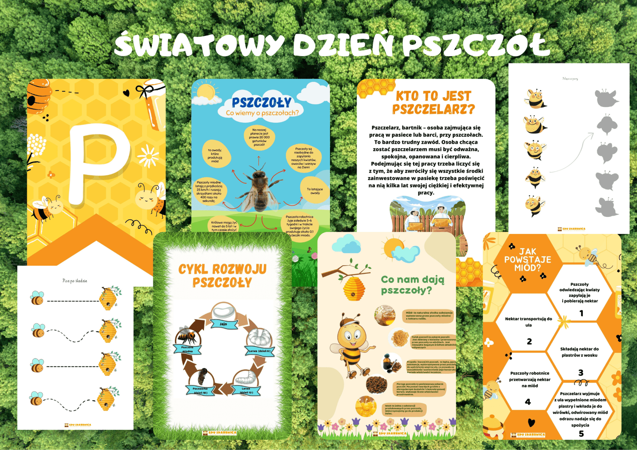 Dzień Pszczoły - zestaw PDF dla dzieci - edu - skarbnica.pl