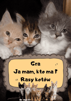 Gra Ja Mam, Kto Ma? – Rasy kotów - edu - skarbnica.pl