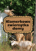 Klamerkowe zwierzątka domy dla dzieci - edu - skarbnica.pl