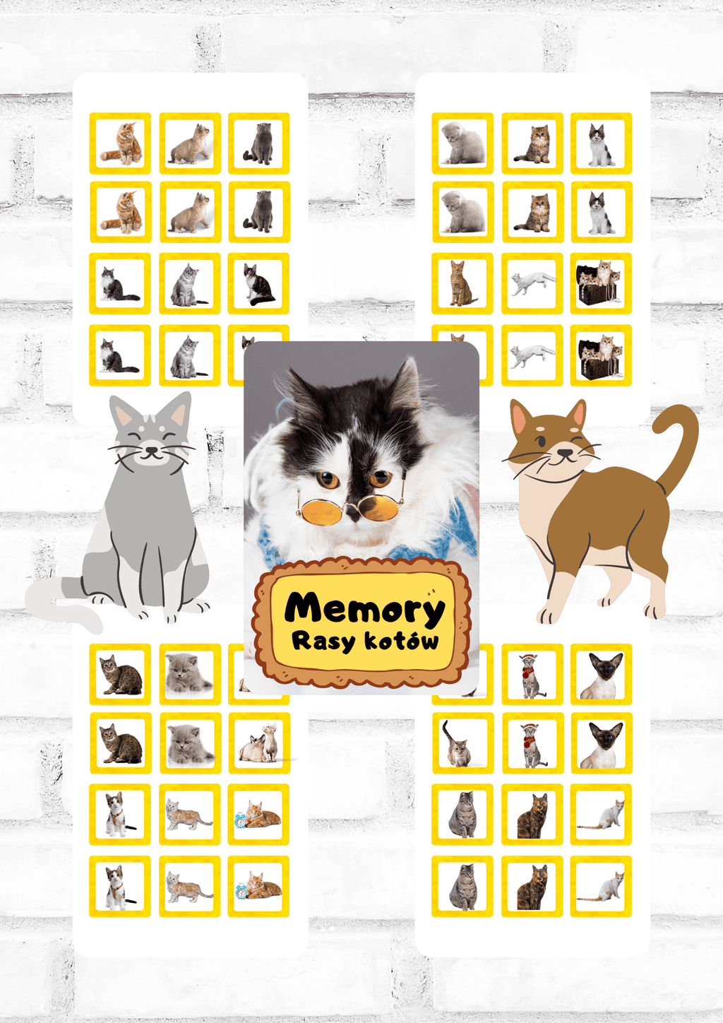Memory - rasy kotów gra PDF dla dzieci - edu - skarbnica.pl