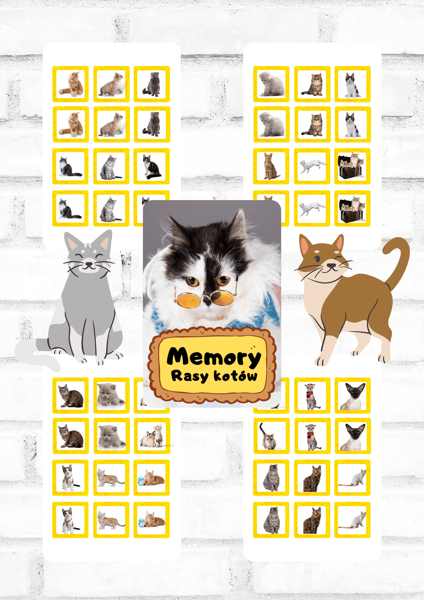 Memory - rasy kotów gra PDF dla dzieci - edu - skarbnica.pl