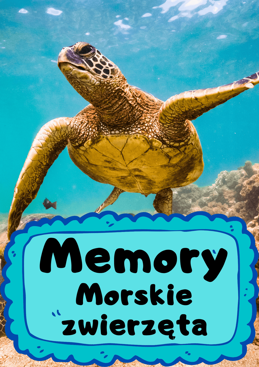 Memory - zwierzęta morskie gra PDF - edu - skarbnica.pl