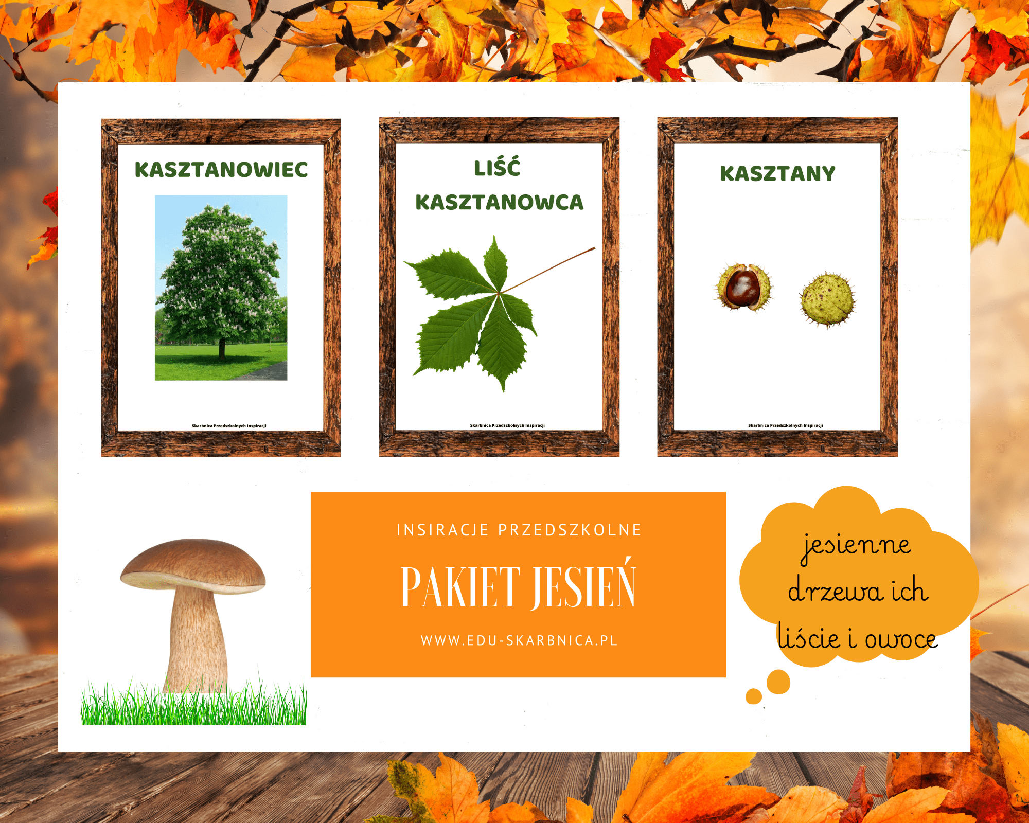 Pakiet jesienny zestaw dla dzieci - edu - skarbnica.pl