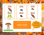 Pakiet jesienny zestaw dla dzieci - edu - skarbnica.pl