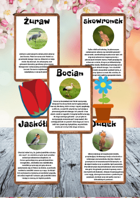 Pakiet Wiosenny zestaw dla dzieci - edu - skarbnica.pl